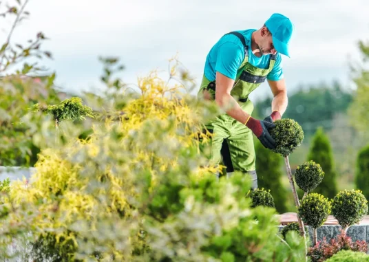 remago-ełk-zakładanie-pielegnacja-ogrodow-ogrodnik-elk